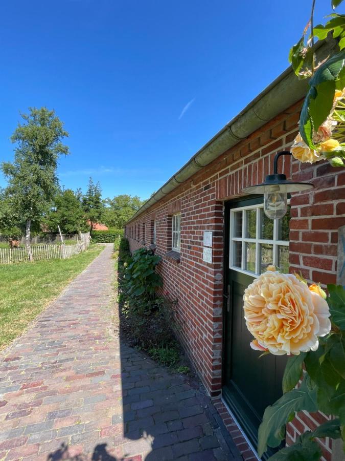 Apartment Deichgraf