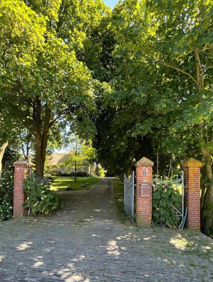Deichgraf Emden